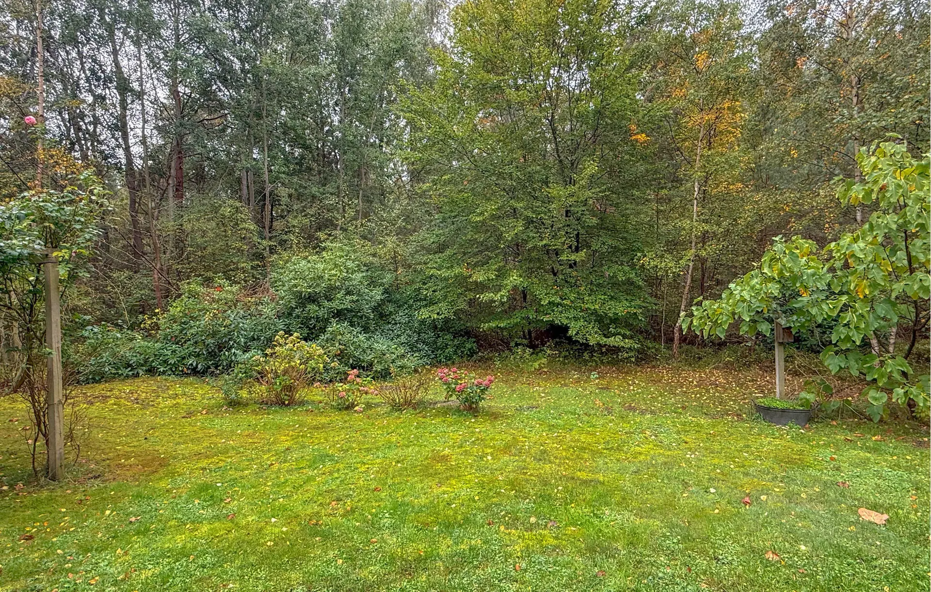 Ferienhaus K30118 in Taksvej 18, Ulvshale Skov | Bild 12 von 24