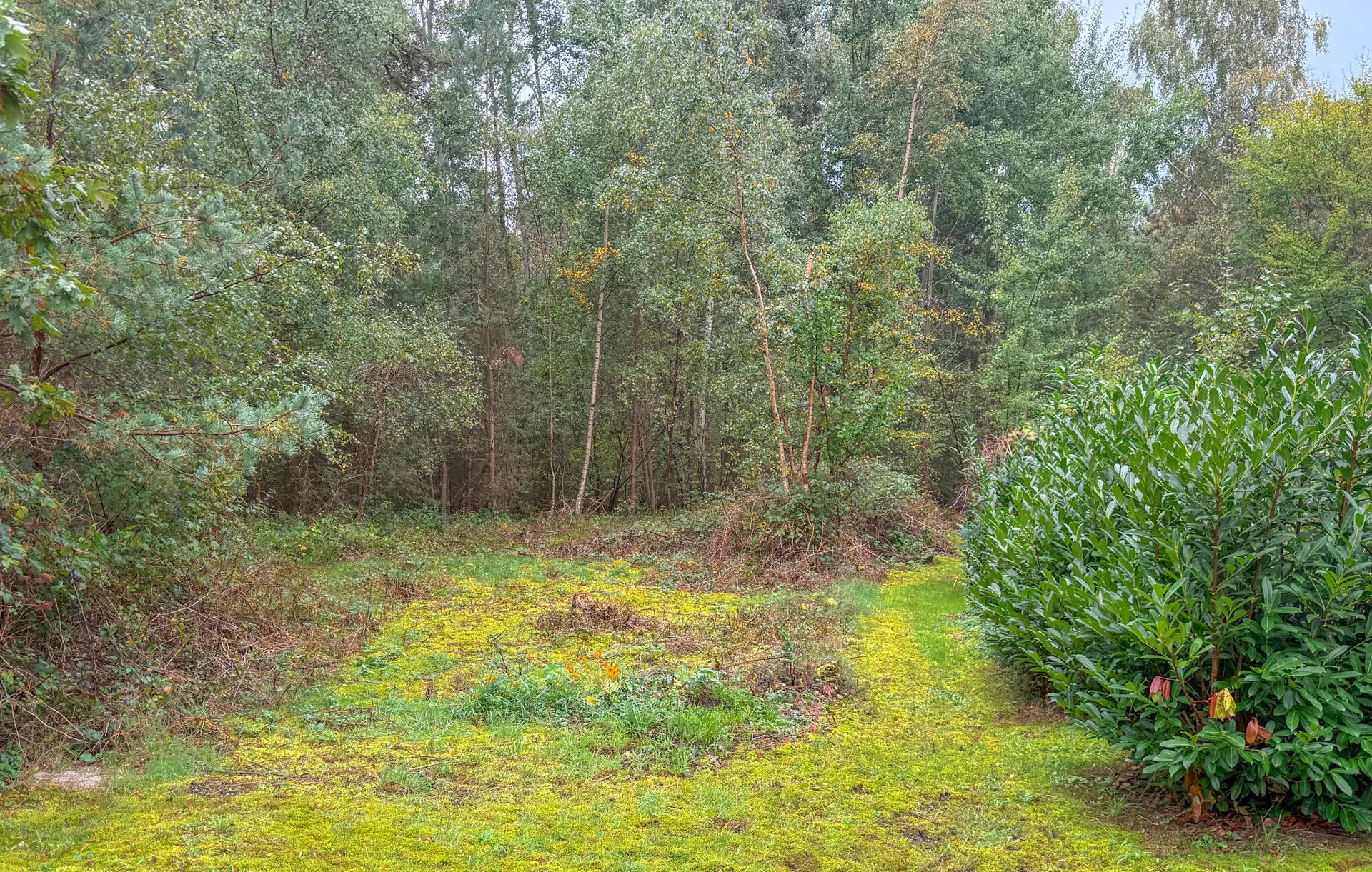 Ferienhaus K30118 in Taksvej 18, Ulvshale Skov | Bild 13 von 24