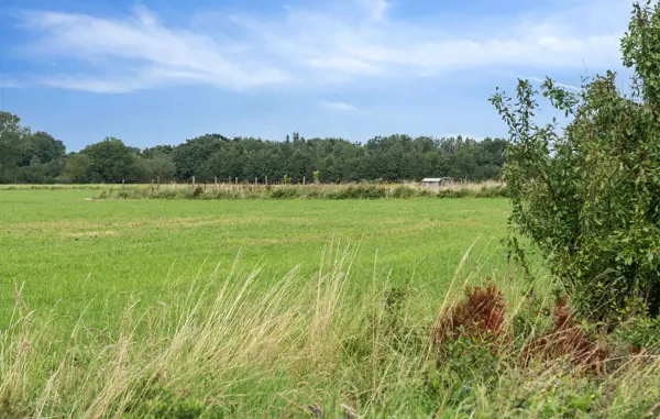 Bild 17 von 31