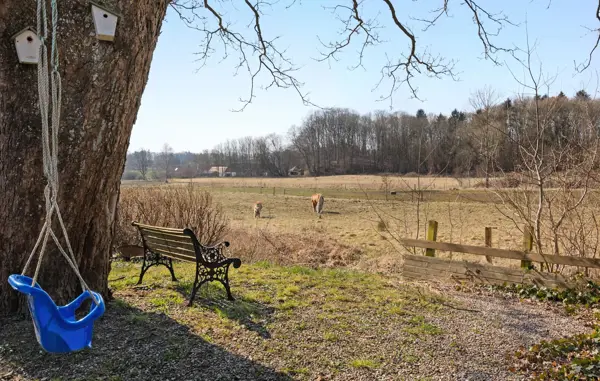 Bild 15 von 25