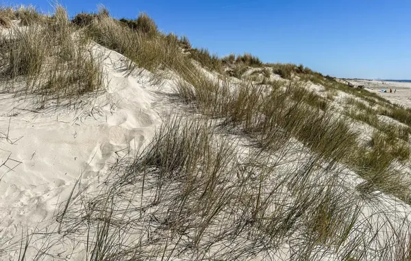 Bild 32 von 32