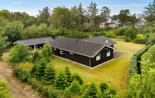Ferienhaus P52704 in Skaven Strand / Ringkøbing Fjord