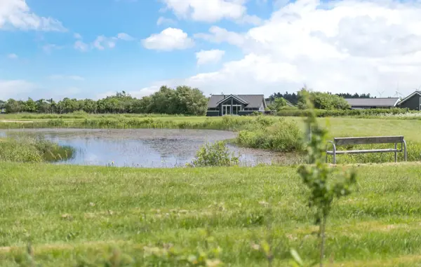 Ferienhaus P52710 in Skaven Strand / Ringkøbing Fjord