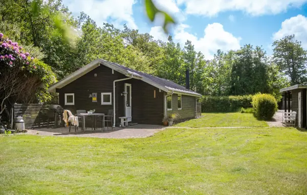 Ferienhaus P52750 in Bork Havn / Ringkøbing Fjord