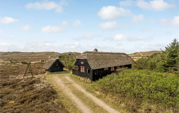 Ferienhaus P62036 in Bjerregard / Holmsland Klit