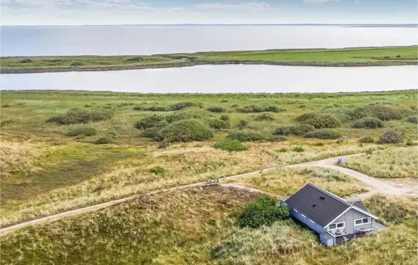 Ferienhaus P62730 in Haurvig / Holmsland Klit