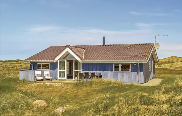Ferienhaus P62761 in Haurvig / Holmsland Klit