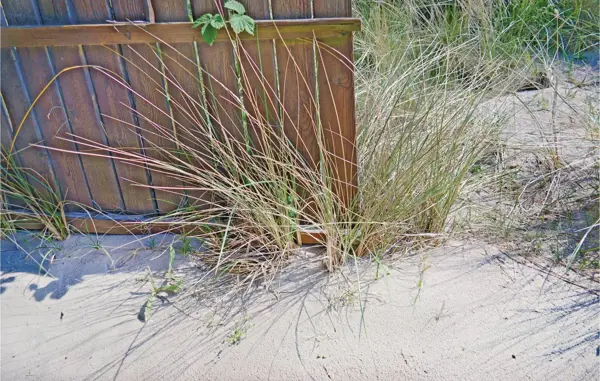 Bild 27 von 27