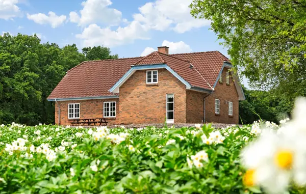Ferienhaus P85074 in Herning / Ringkøbing Fjord