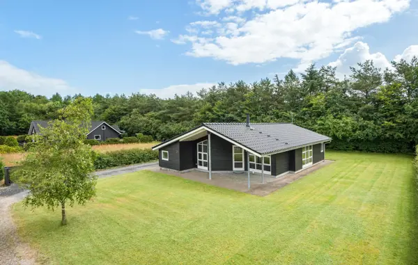 Ferienhaus P95008 in Billund / Südjütland