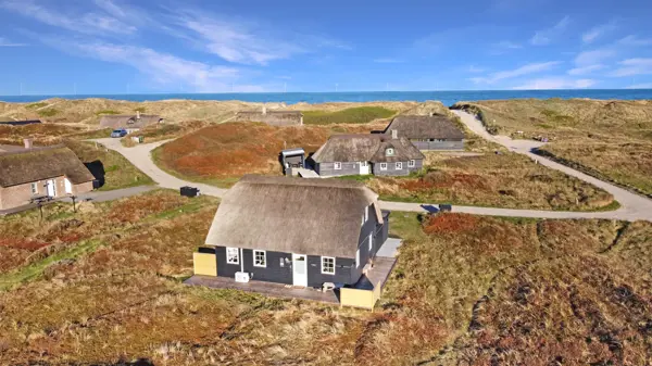 Ferienhaus 881 in Vejlby Klit / Vejlby Klit Bild: 1