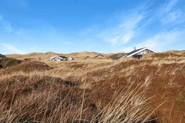 Ferienhaus 154 in Vejlby Klit / Vejlby Klit Bild: 4