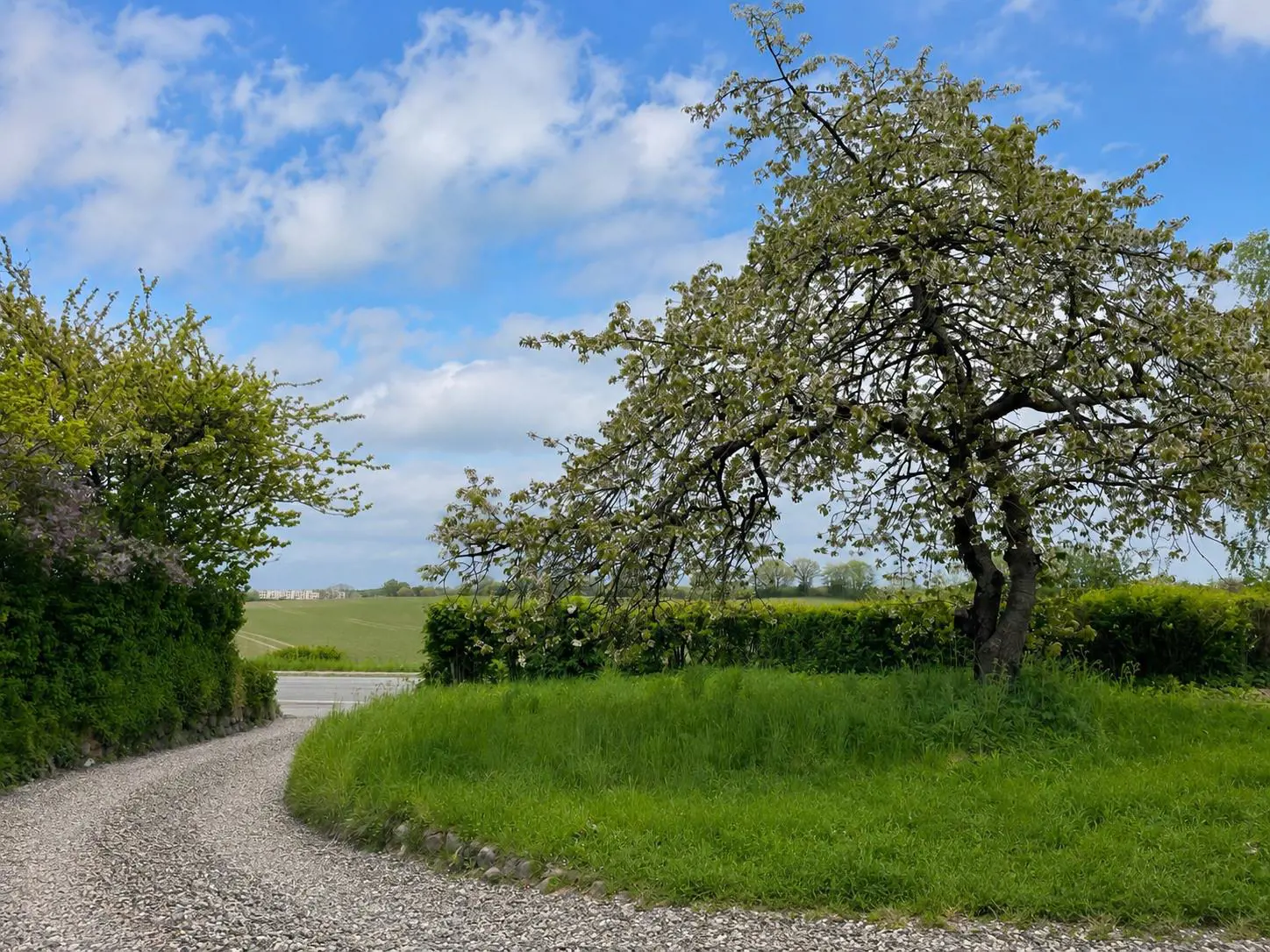Bild 7 von 21