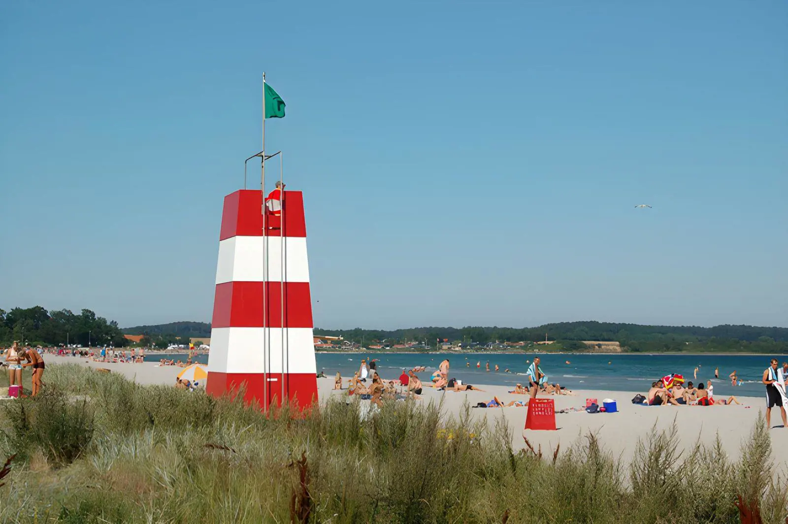 Bild 37 von 39