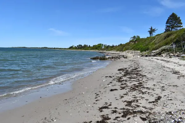 Ferienhaus 193 in Hindsholm / Fünen Bild: 3