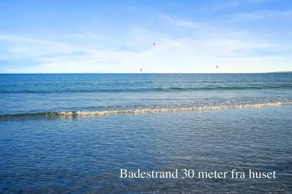 Bild 2 von 12