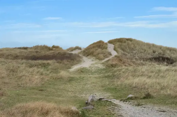 Ferienhaus 10-1063 in Skagen Strand / Tannisbucht