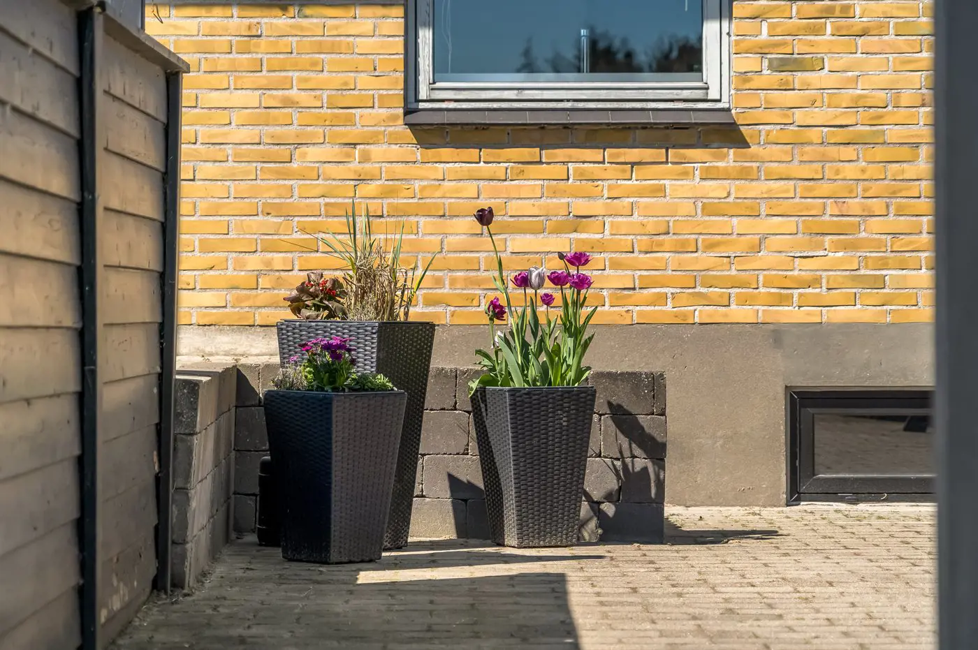 Bild 20 von 25