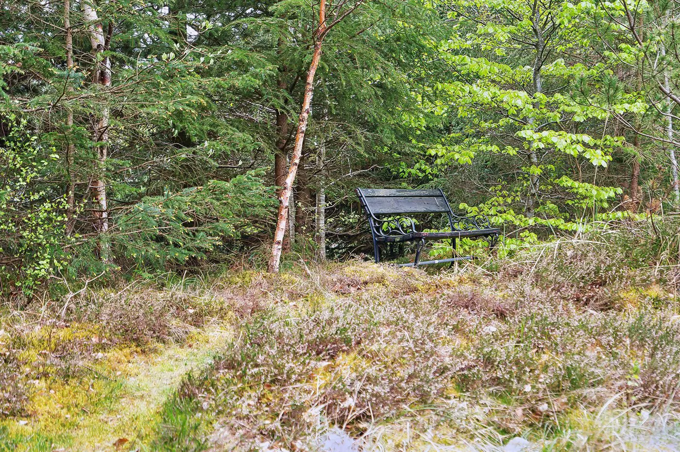 Bild 28 von 32