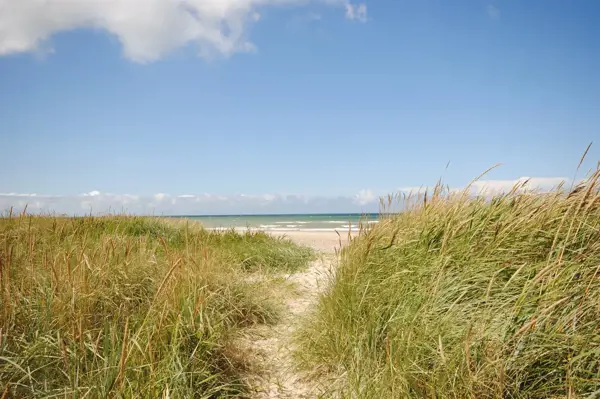Bild 38 von 40