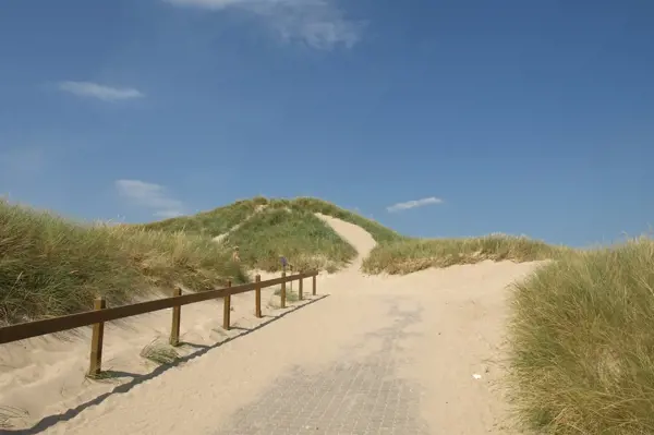 Ferienhaus 20-2089 in Vejlby Klit / Vejlby Klit Bild: 5