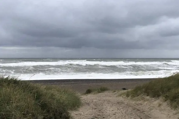 Bild 31 von 34