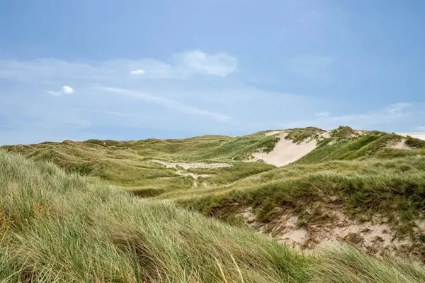Bild 38 von 42