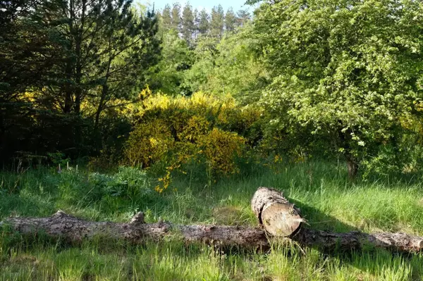 Bild 5 von 41