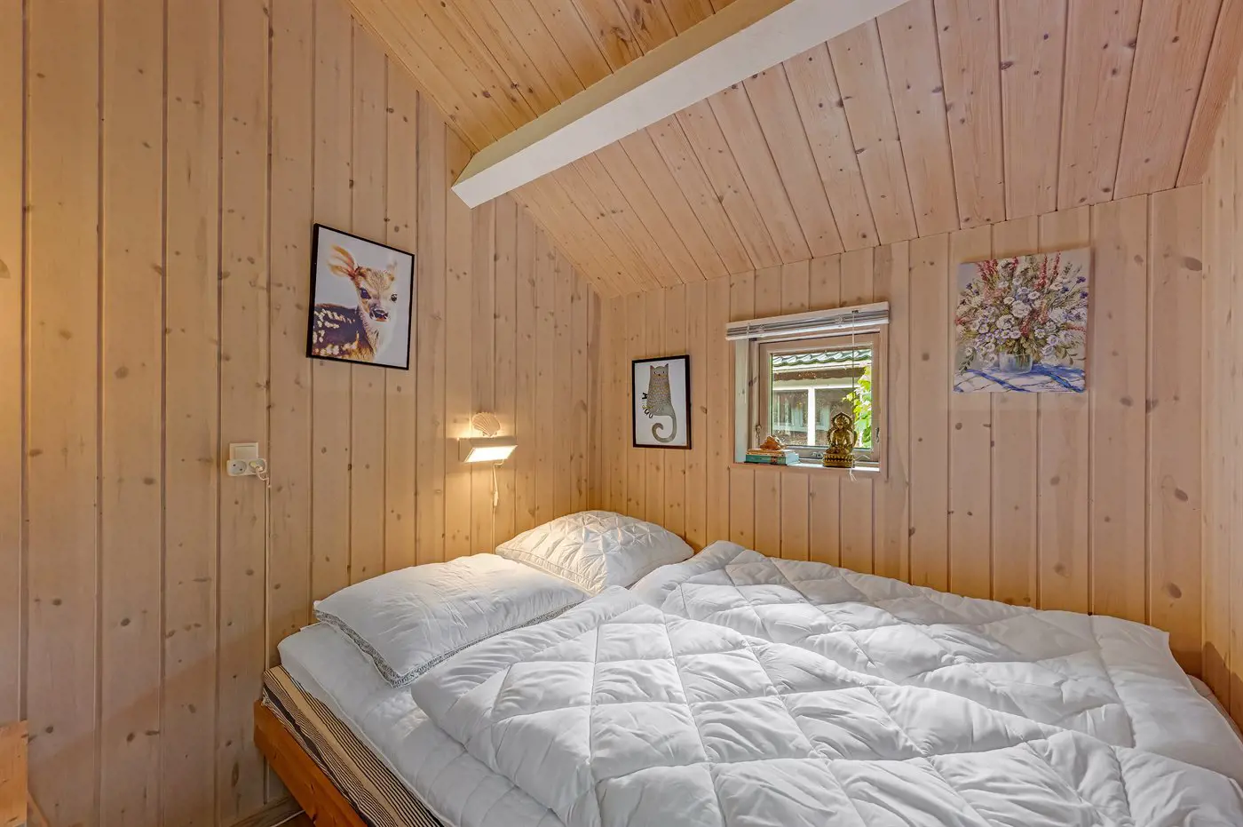 Bild 19 von 39
