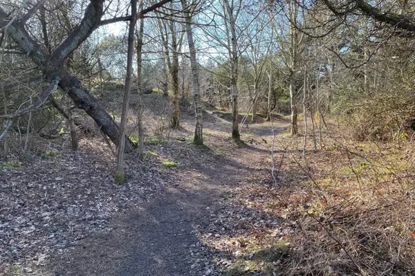 Bild 36 von 39