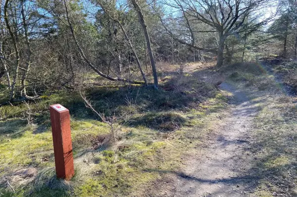 Bild 43 von 44