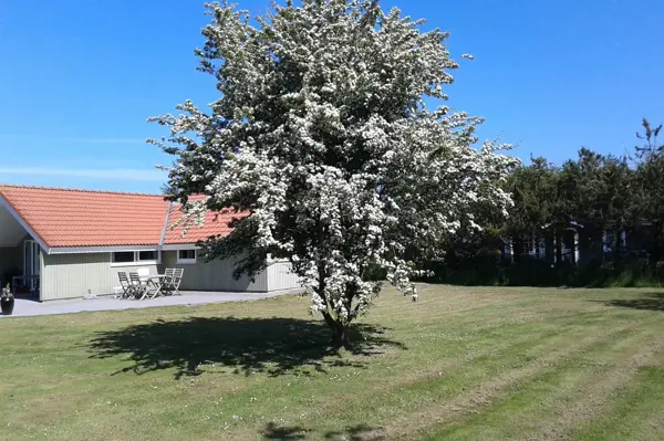 Bild 20 von 21