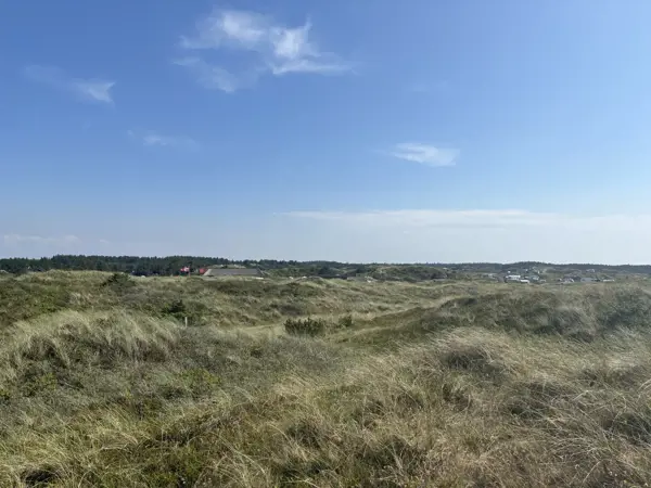 Ferienhaus 25-5289 in Rådyrvej 17B, Vejers Strand | Bild 42 von 42