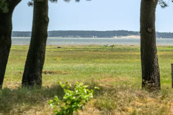 Bild 25 von 35
