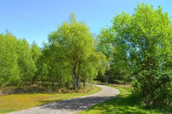 Bild 9 von 50