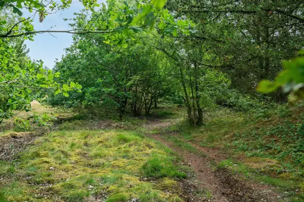Bild 37 von 50
