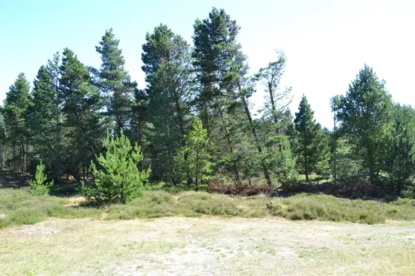 Bild 20 von 21