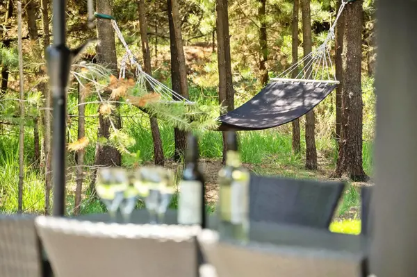 Bild 3 von 38