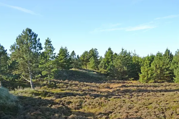 Bild 32 von 33
