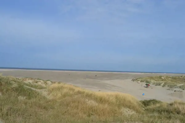 Bild 30 von 36