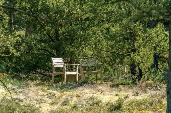 Bild 25 von 40