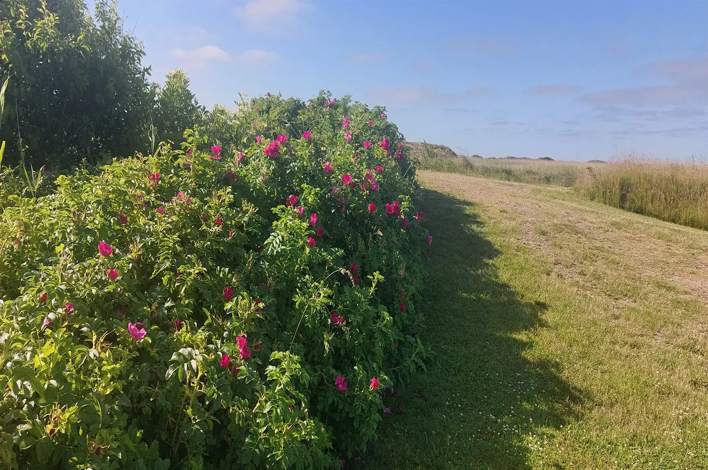 Bild 48 von 50