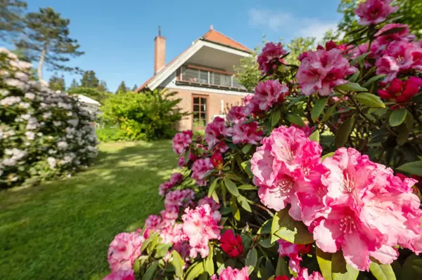Ferienhaus 29-2554 in Havneby / Rømø