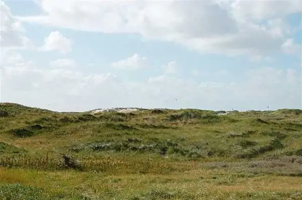 Bild 15 von 20