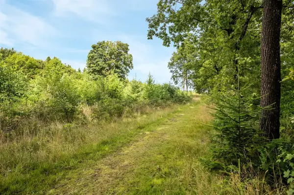 Bild 15 von 33