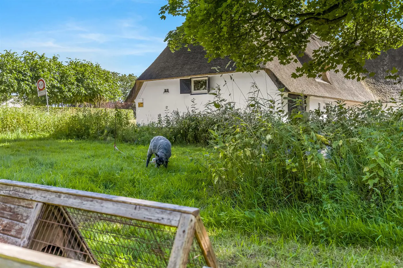 Bild 29 von 31