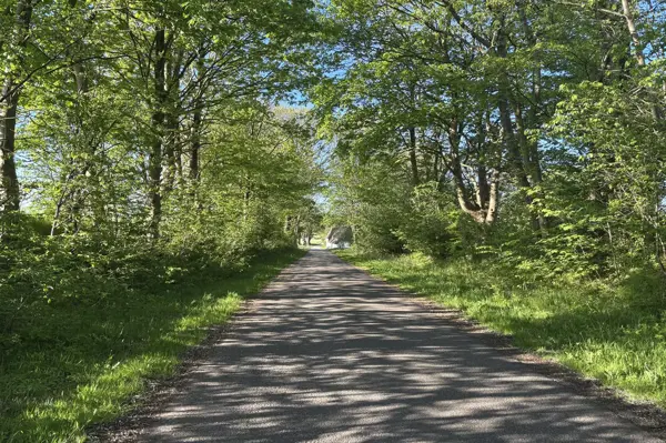 Bild 31 von 31