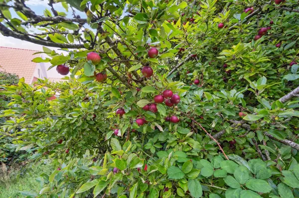 Bild 28 von 29
