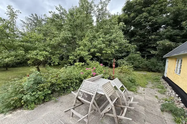 Bild 11 von 12