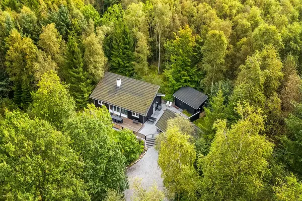 Bild 36 von 38